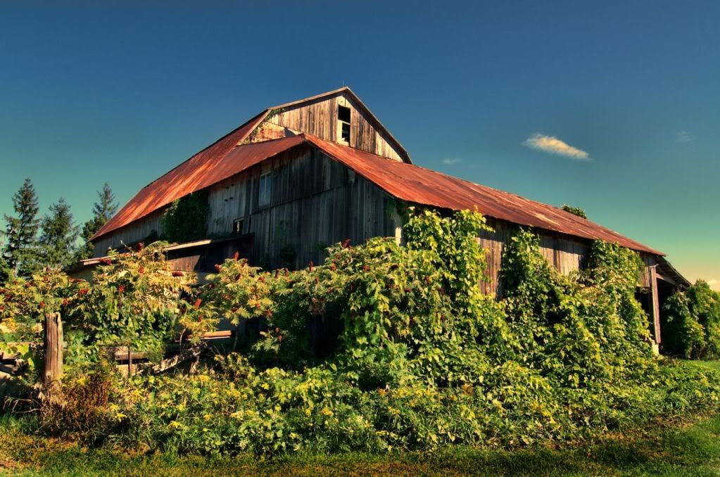 backofbarn1400.jpg